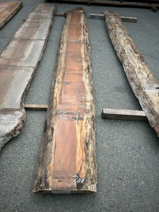 アサメラ　一枚板天板