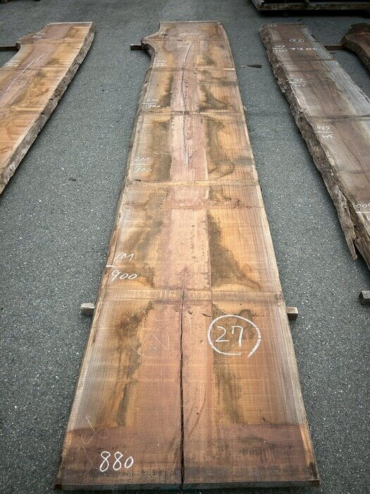 アサメラ　一枚板天板