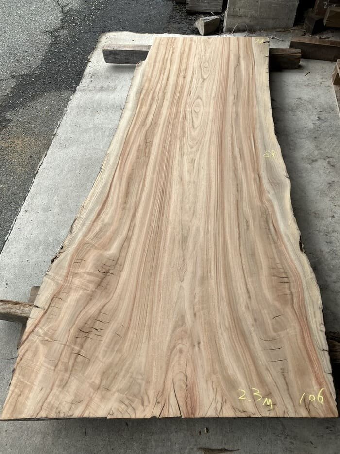 楠（クス）　一枚板・天板