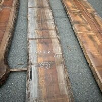 アサメラ　NO.107-23