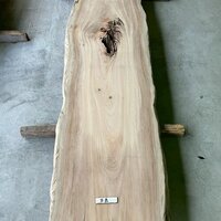 楠（クス）　NO.T227-3