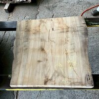 楠（クス）　NO.T-K1