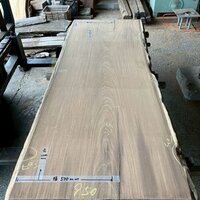 アサメラ　NO.T973