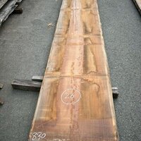 アサメラ　NO.107-26