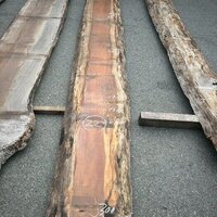 アサメラ　NO.107-22