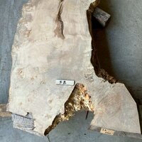 栃（トチ）　NO.T32