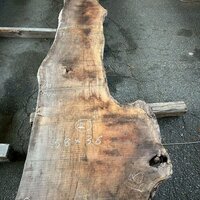 ウォールナット　NO.86-2