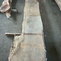 ウォールナット　NO.86-8