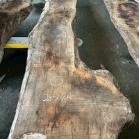 ウォールナット　NO.86-1