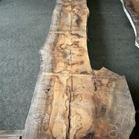 ウォールナット　NO.86-5