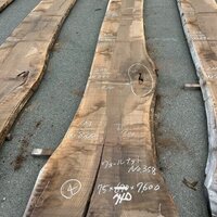 ウォールナット　NO.358-4