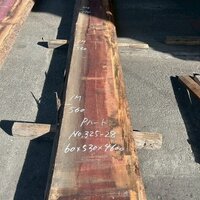 パープルハート　NO.325-28