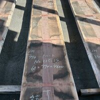 パープルハート　NO.325-24