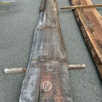 ウォールナット　NO.358-10