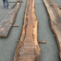 ウォールナット　NO.358-2