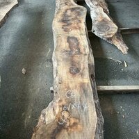 ウォールナット　NO.86-9