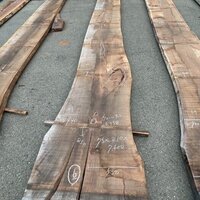 ウォールナット　NO.358-6