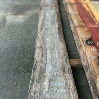 パープルハート　NO.325-21