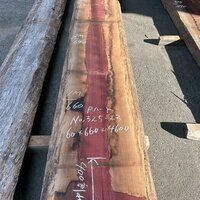 パープルハート　NO.325-23