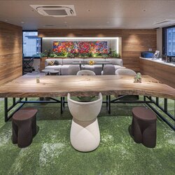 楠（クス）　一枚板