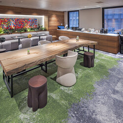 楠（クス）　一枚板