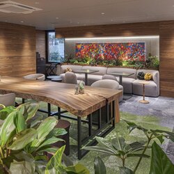 楠（クス）　一枚板