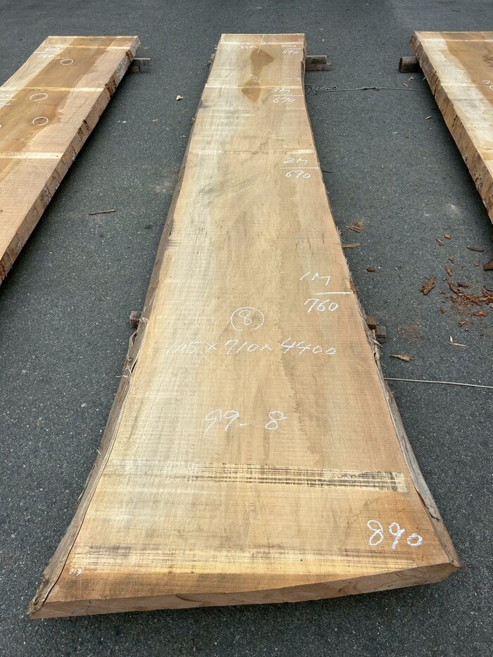 銀杏（イチョウ）　一枚板・天板