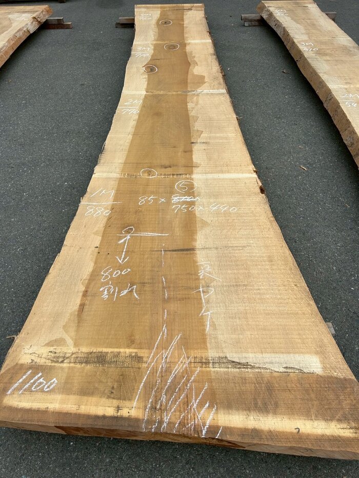 銀杏（イチョウ）　一枚板・天板