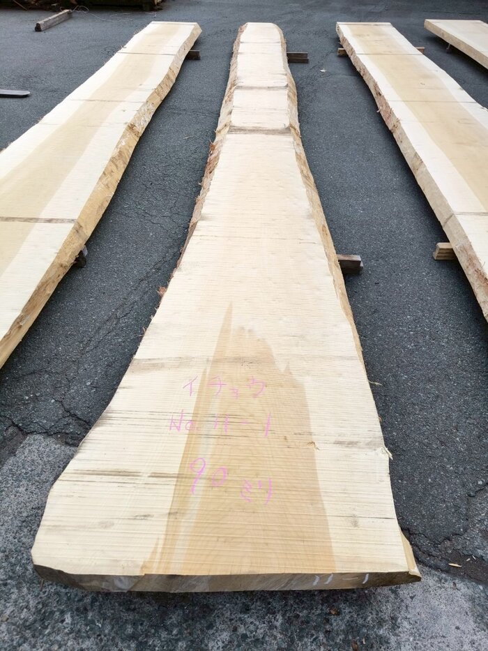 銀杏（イチョウ）　一枚板・天板