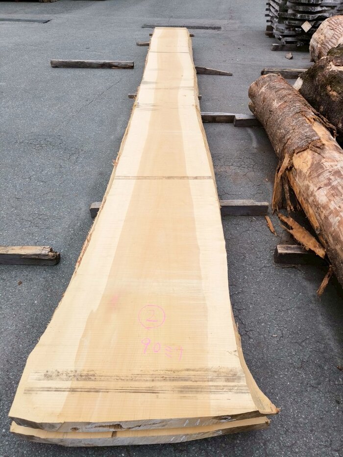 銀杏（イチョウ）　一枚板・天板