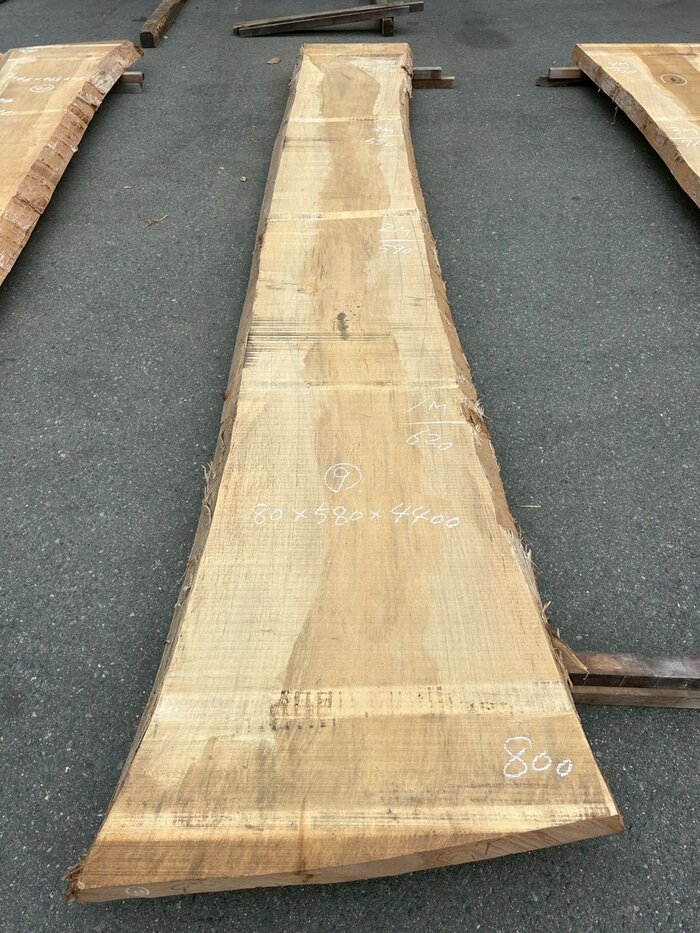 銀杏（イチョウ）　一枚板・天板