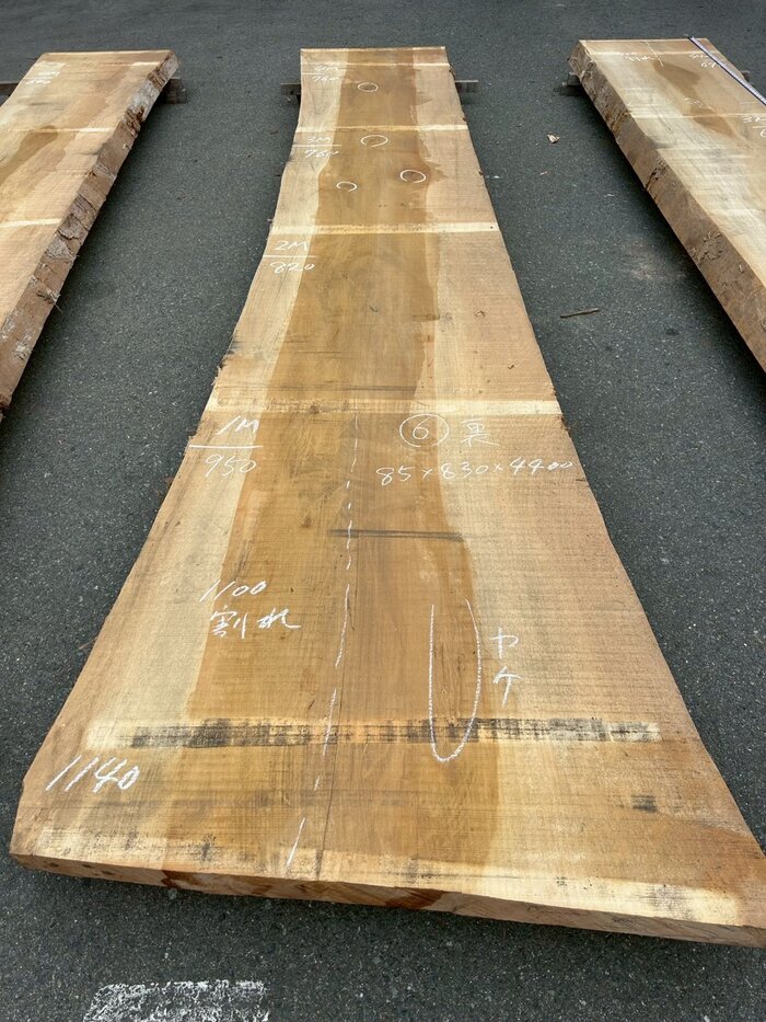 銀杏（イチョウ）　一枚板・天板