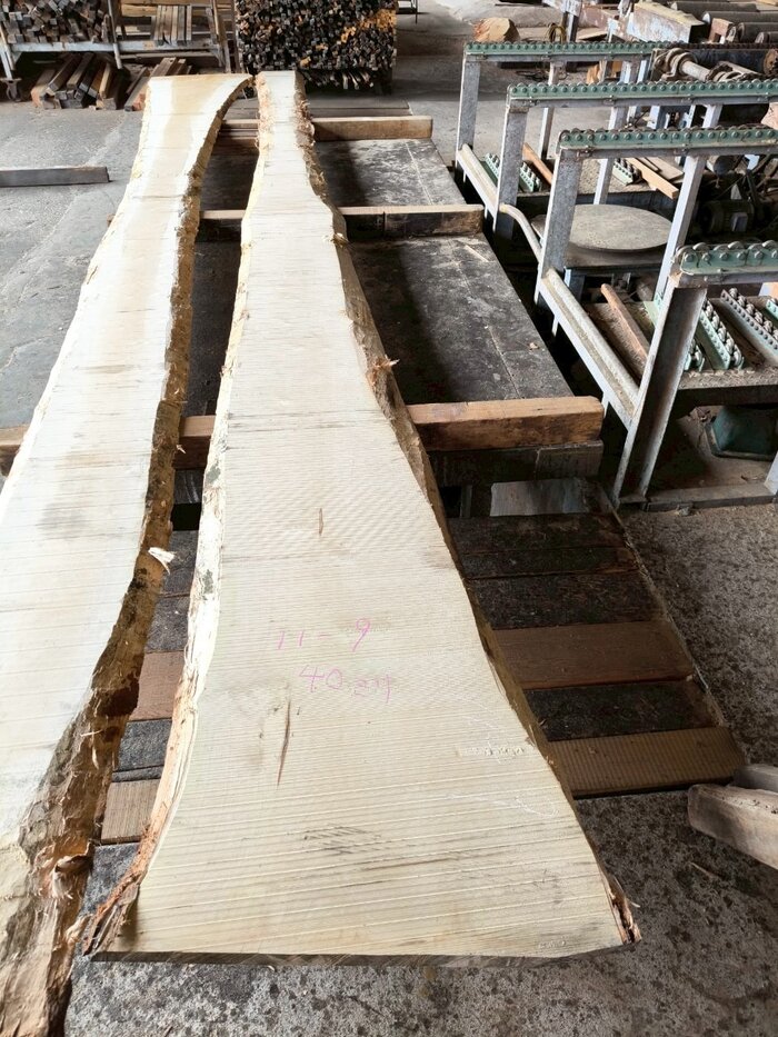 銀杏（イチョウ）　一枚板・天板