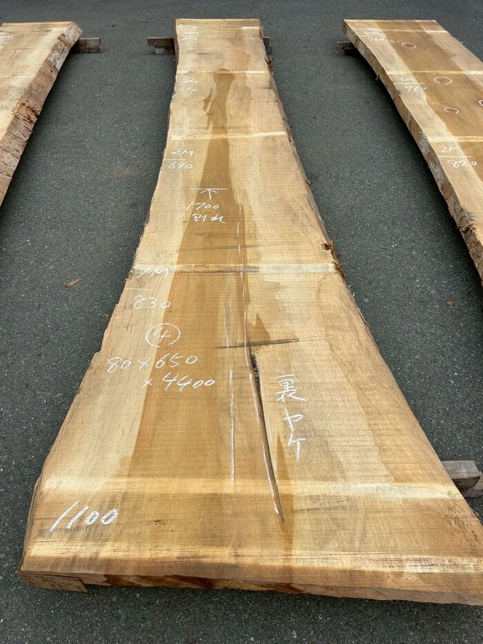 銀杏（イチョウ）　一枚板・天板