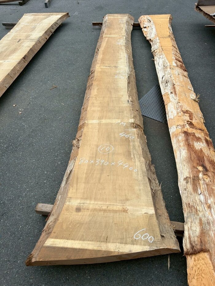 銀杏（イチョウ）　一枚板・天板