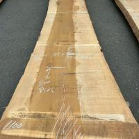 銀杏（イチョウ）　NO.99-5