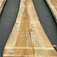 銀杏（イチョウ）　NO.99-4