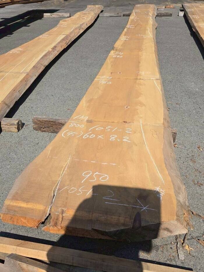 檜（ヒノキ）　一枚板・天板