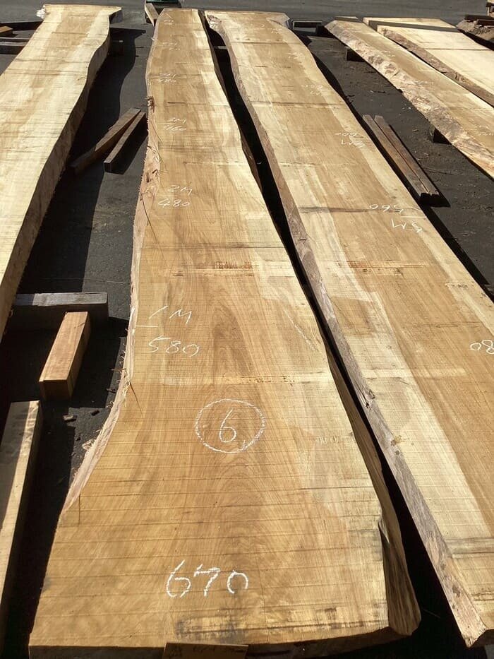 檜（ヒノキ）　一枚板・天板