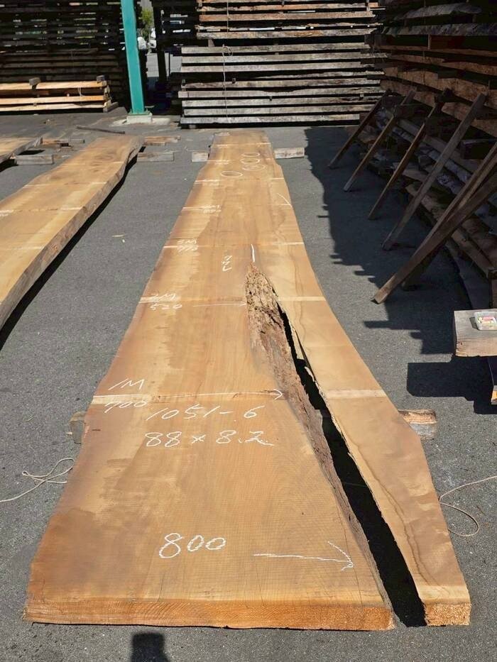 檜（ヒノキ）　一枚板・天板