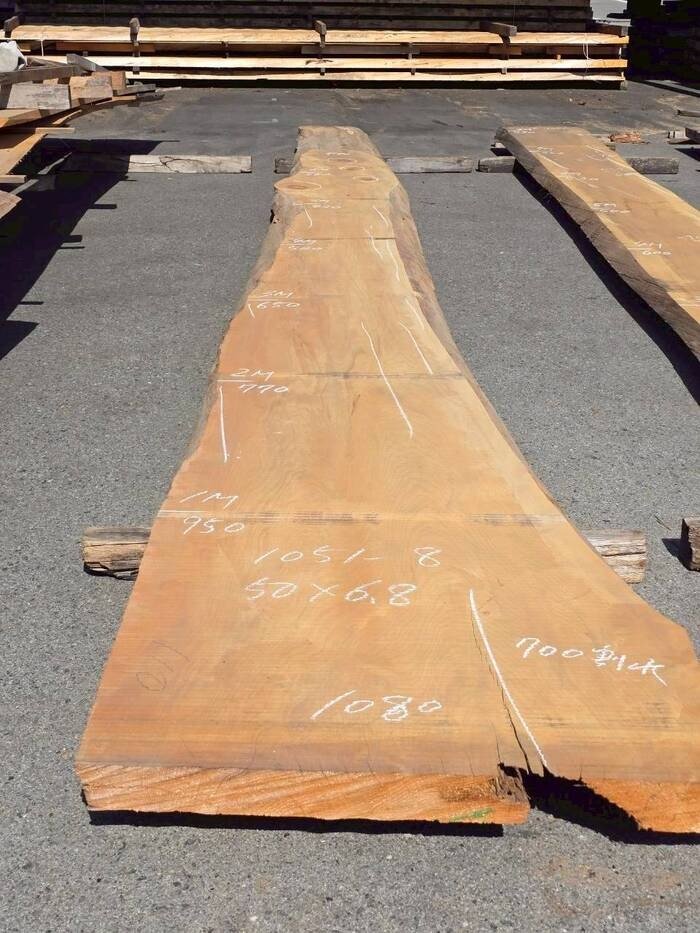 檜（ヒノキ）　一枚板・天板