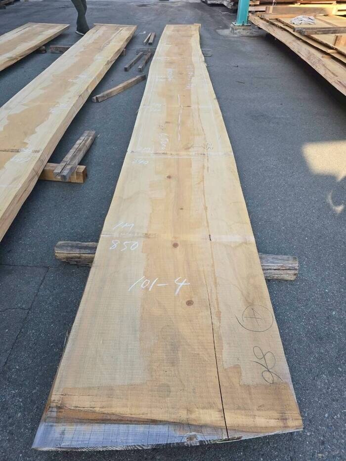 檜（ヒノキ）　一枚板・天板