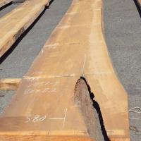 檜（ヒノキ）　NO.1051-7