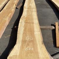 檜（ヒノキ）　NO.1002-2