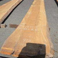 檜（ヒノキ）　NO.1051-2