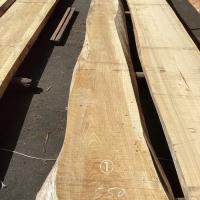 檜（ヒノキ）　NO.1002-1