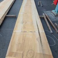 檜（ヒノキ）　NO.101-5