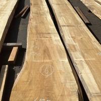 檜（ヒノキ）　NO.1002-6