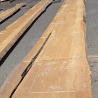 檜（ヒノキ）　NO.1051-4