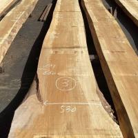 檜（ヒノキ）　NO.1002-3